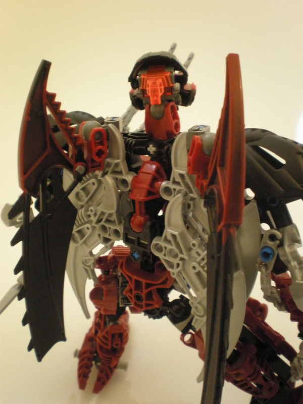 close_up_back_small.jpg