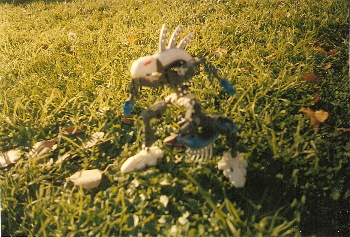 quortahk.jpg