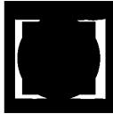 phylog-header.png