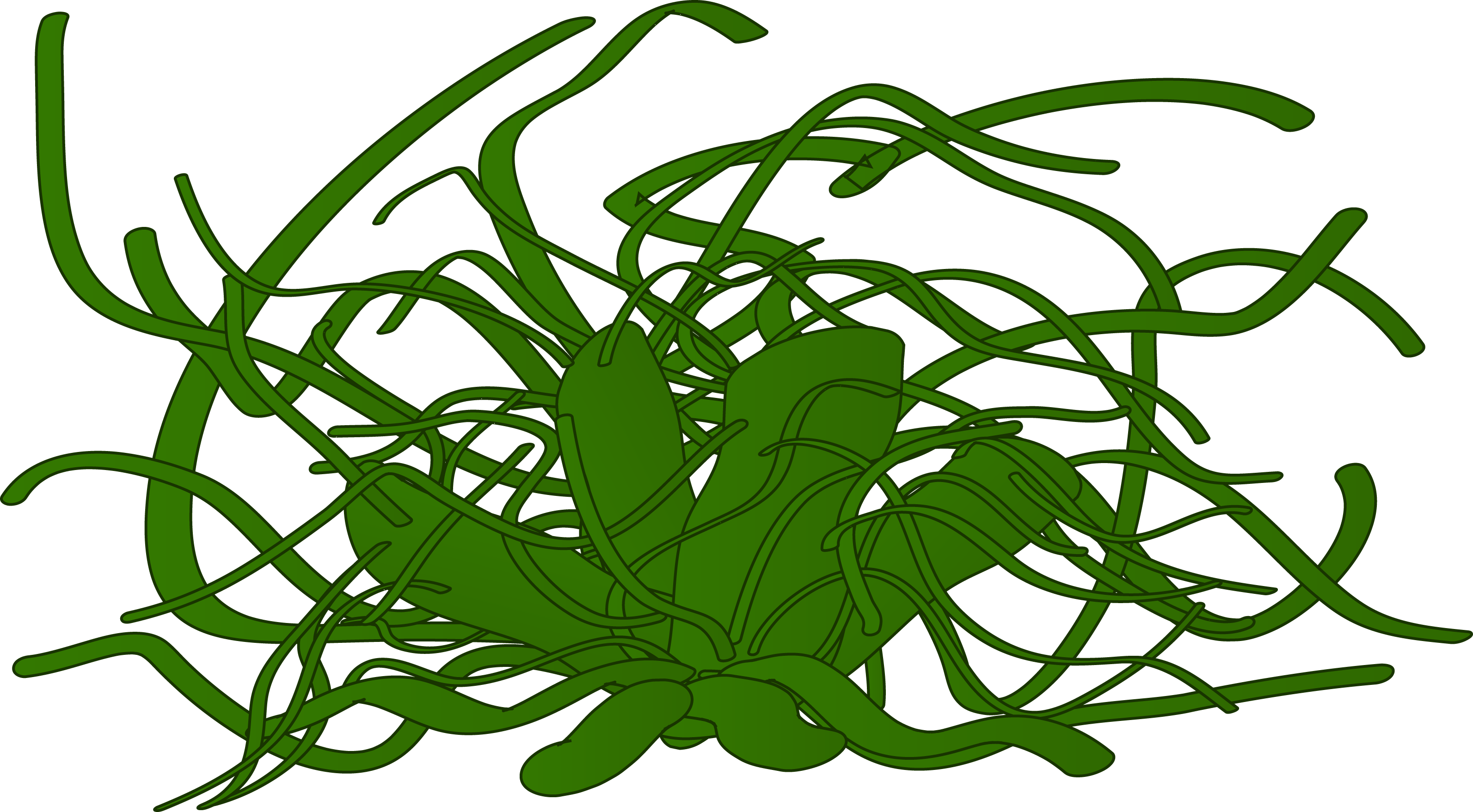 morbuzakh.png