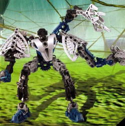 amphibax.png