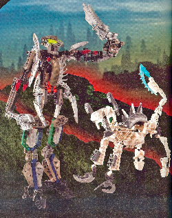 tracker.png