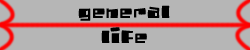 cat_gl.png