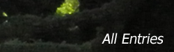 cttea.png