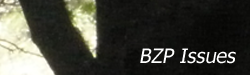 cttebzpi.png
