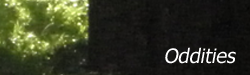 ctteo.png