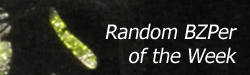 ctterbzpotw.png