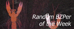 ctterbzpotw2.png