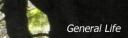 cttegl.png
