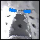 realav.png