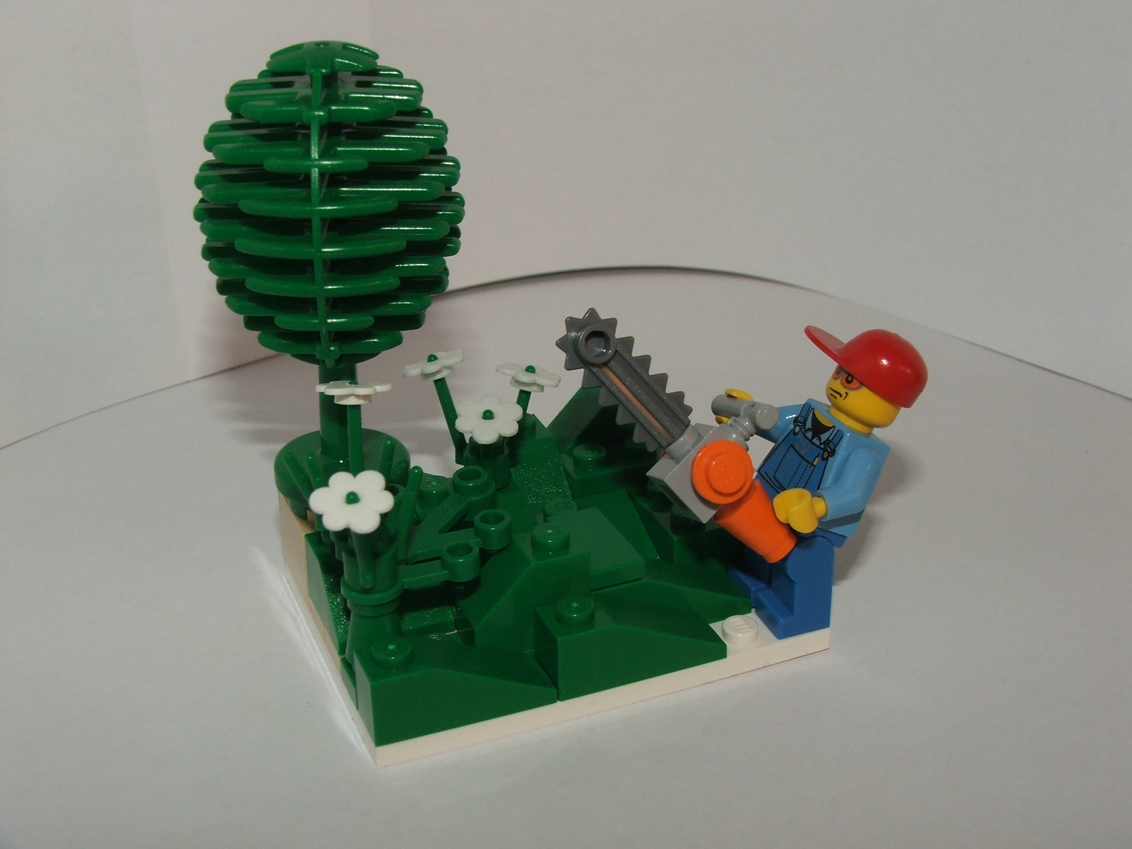 dscf6078.jpg