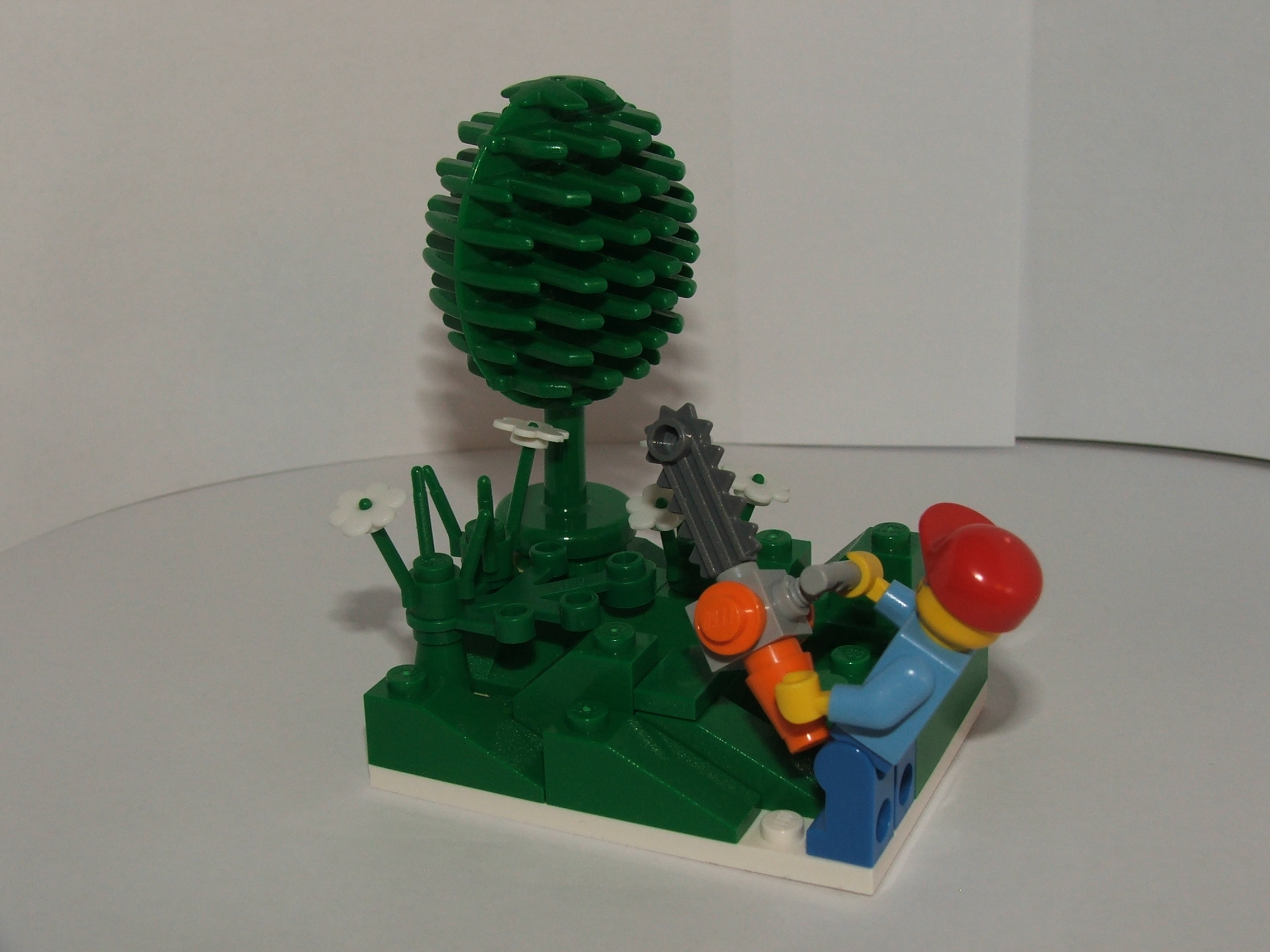 dscf6081.jpg