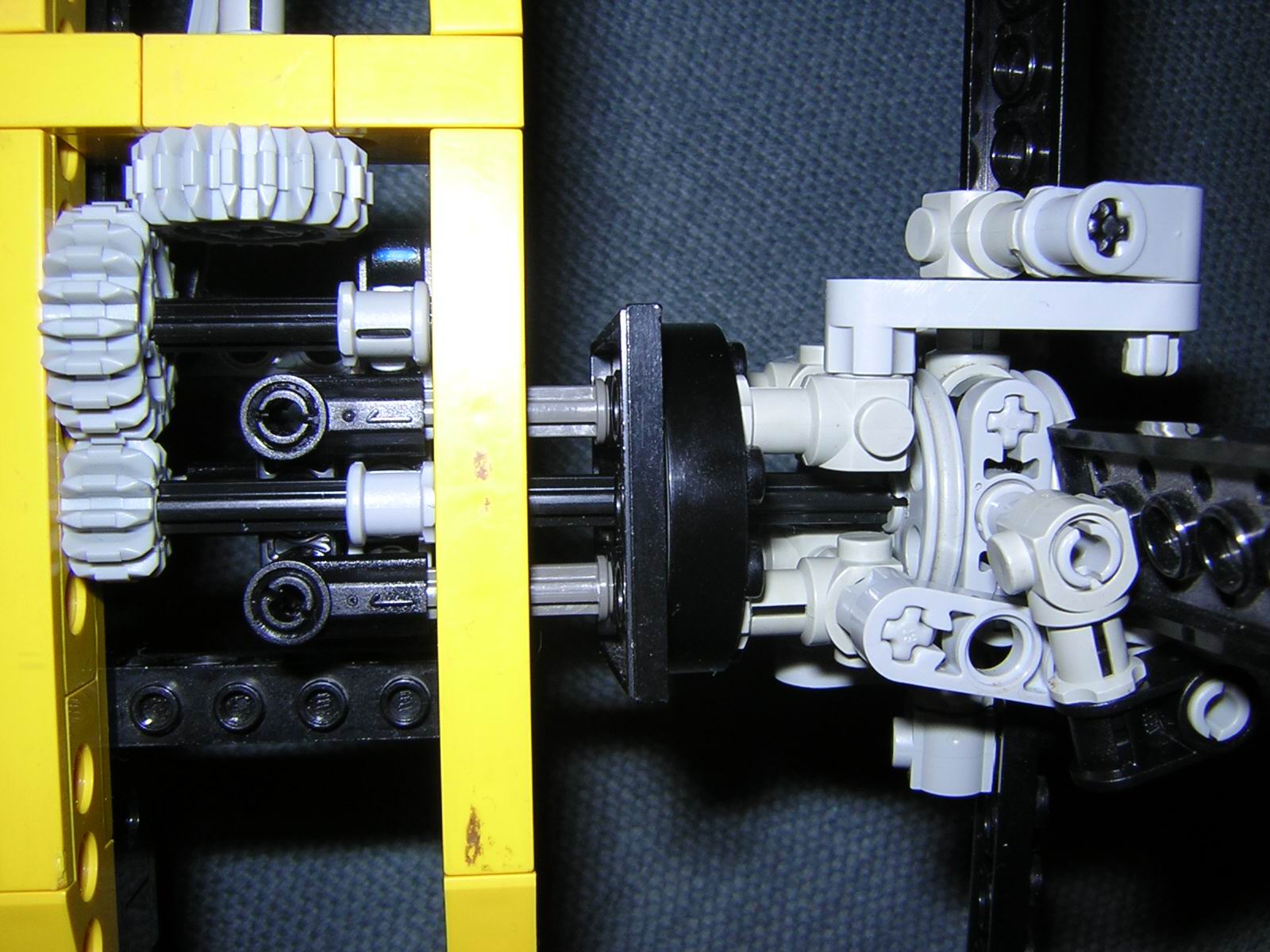 15_tail_detail.jpg