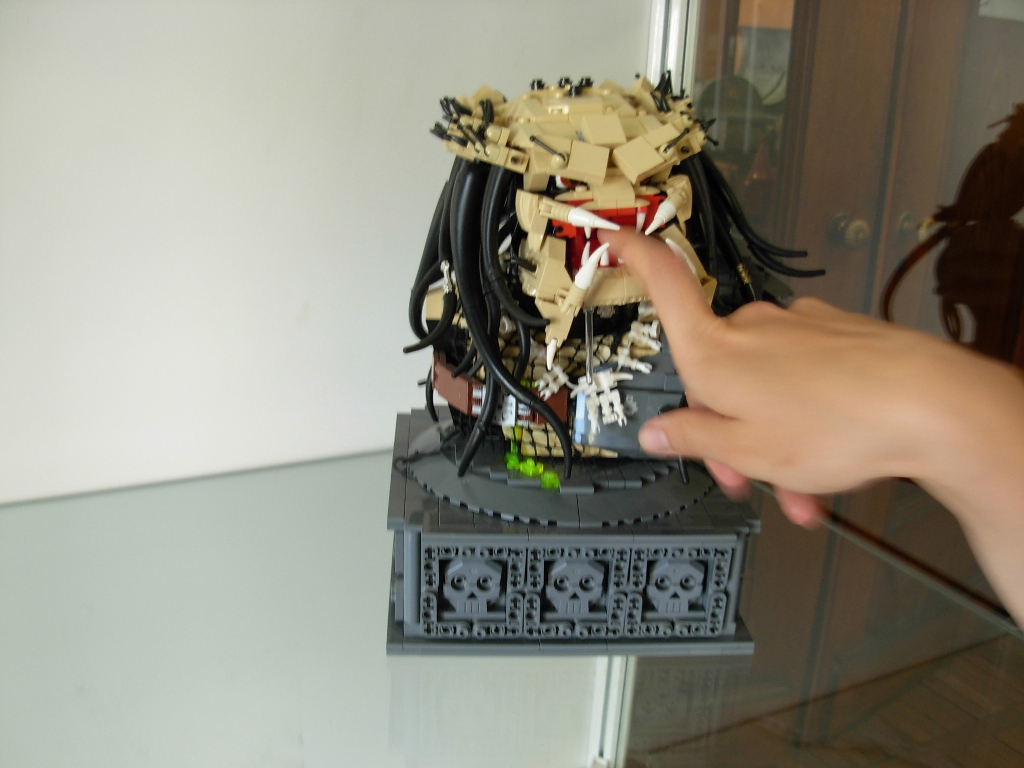 dscn2516.jpg