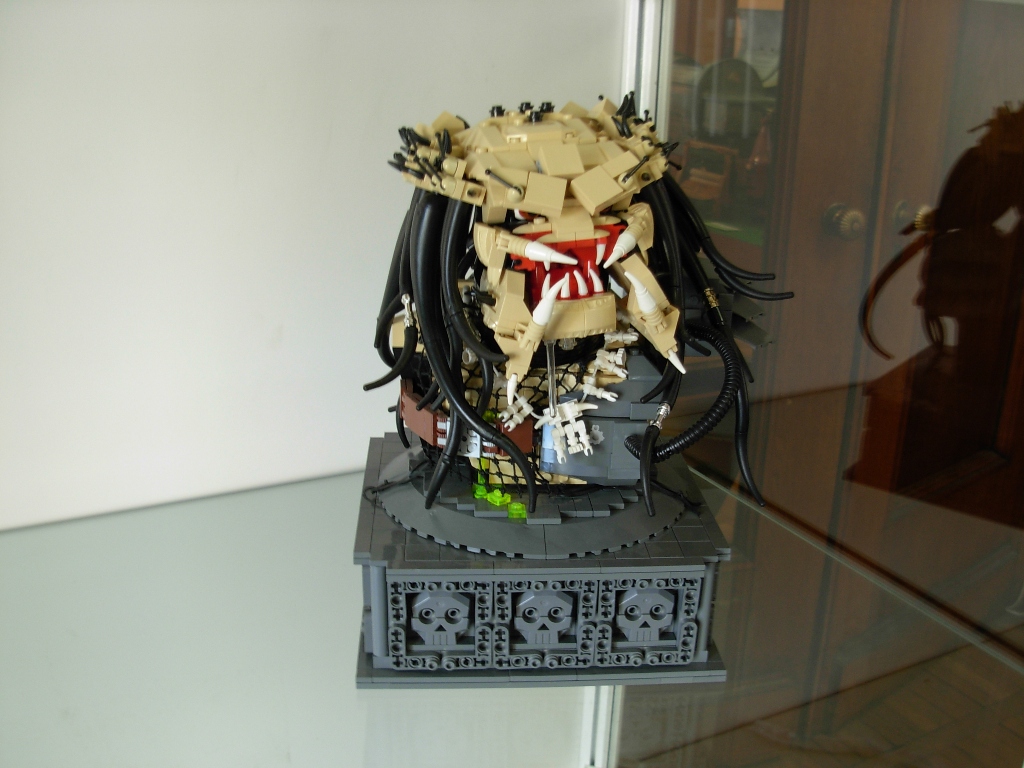 dscn2517.jpg
