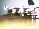 11wing.jpg