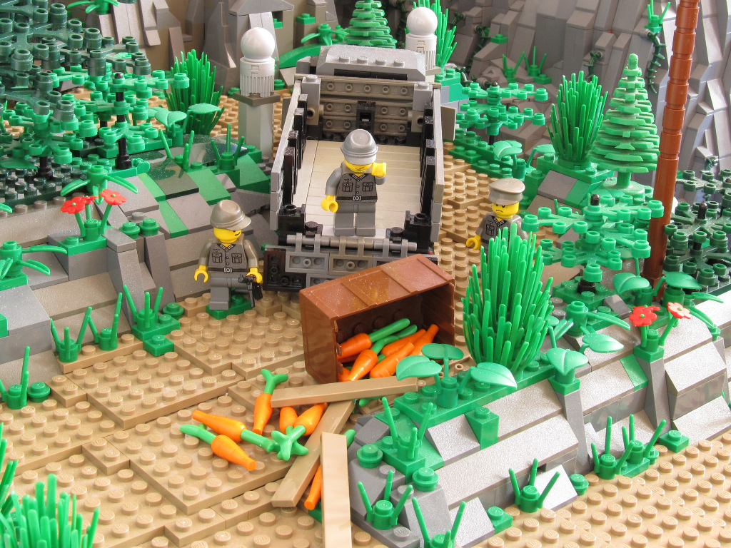 49.jpg