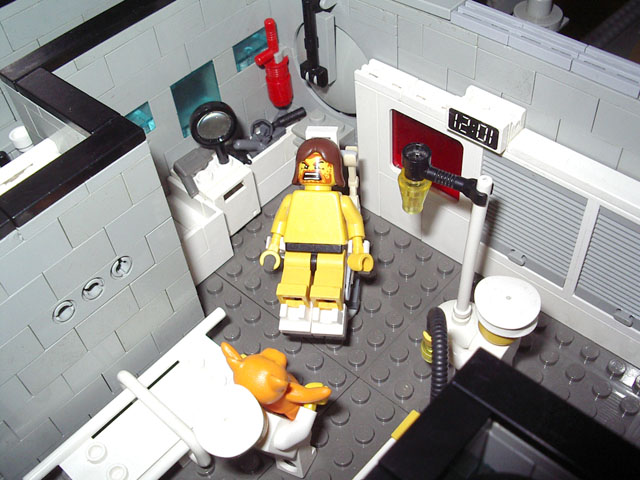 48.jpg