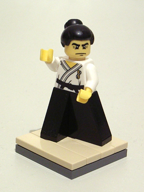 963_aikidoapprentice.jpg