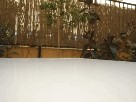 p8130385.gif