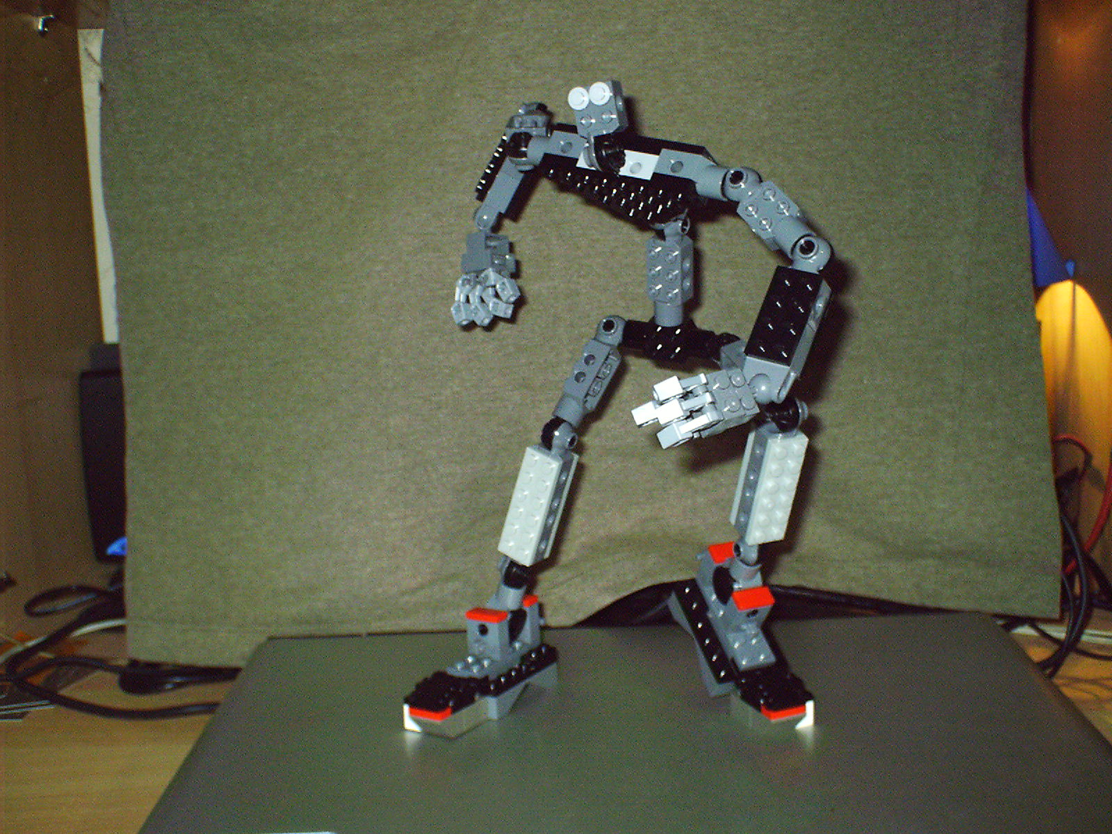 exoskeletro_4.jpg