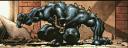 vasg.gif