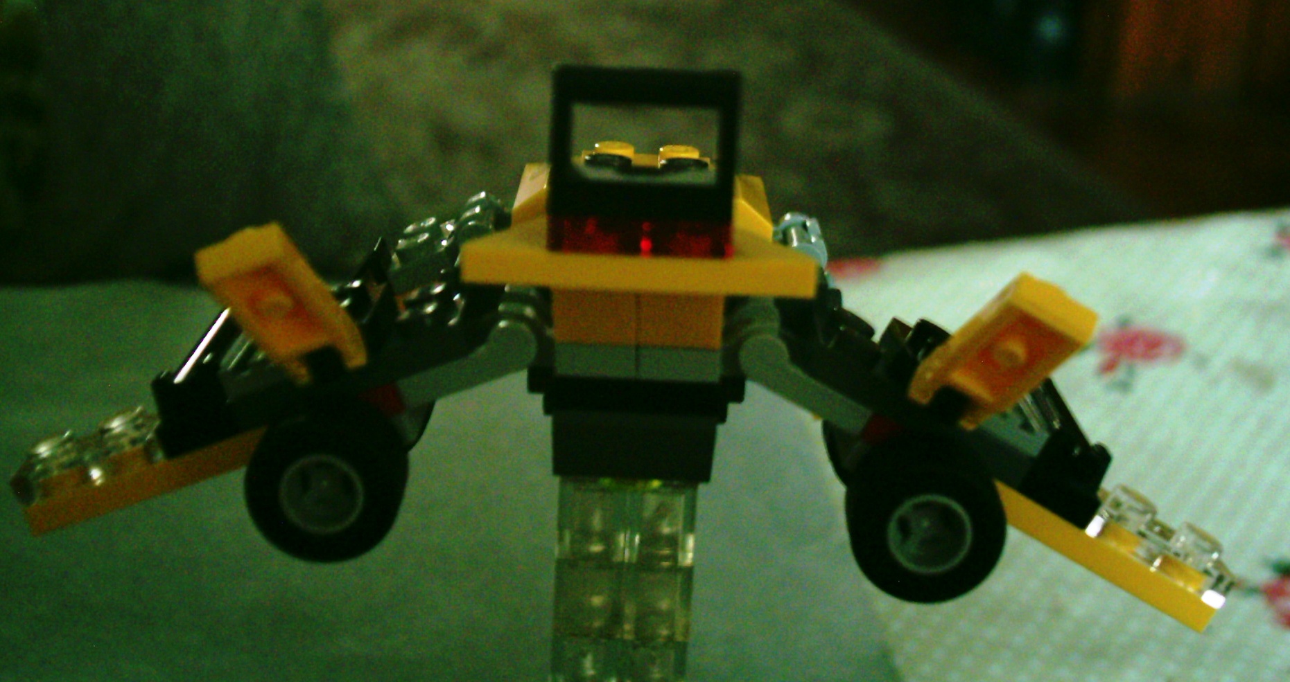 imag0005.jpg