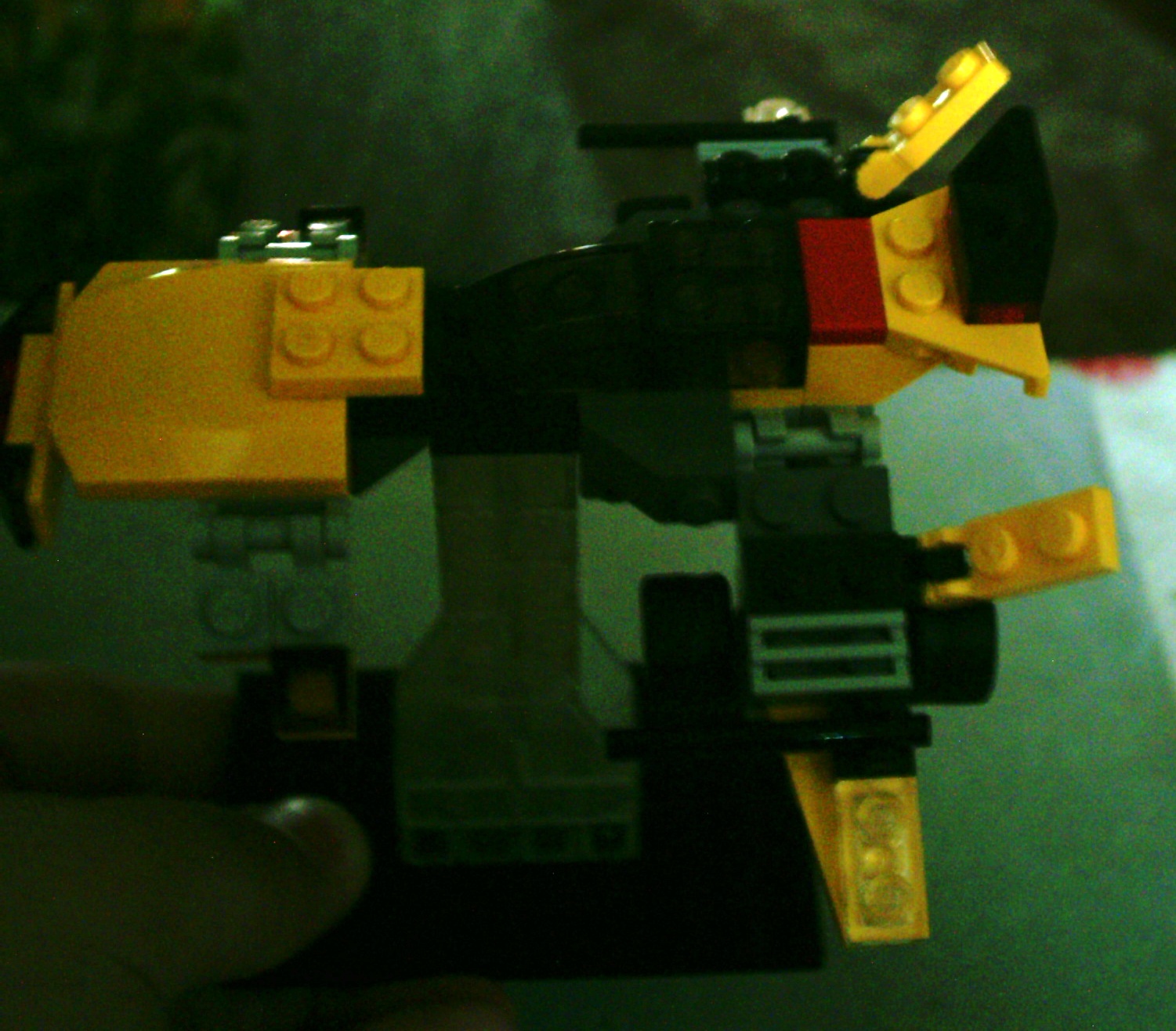 imag0009.jpg