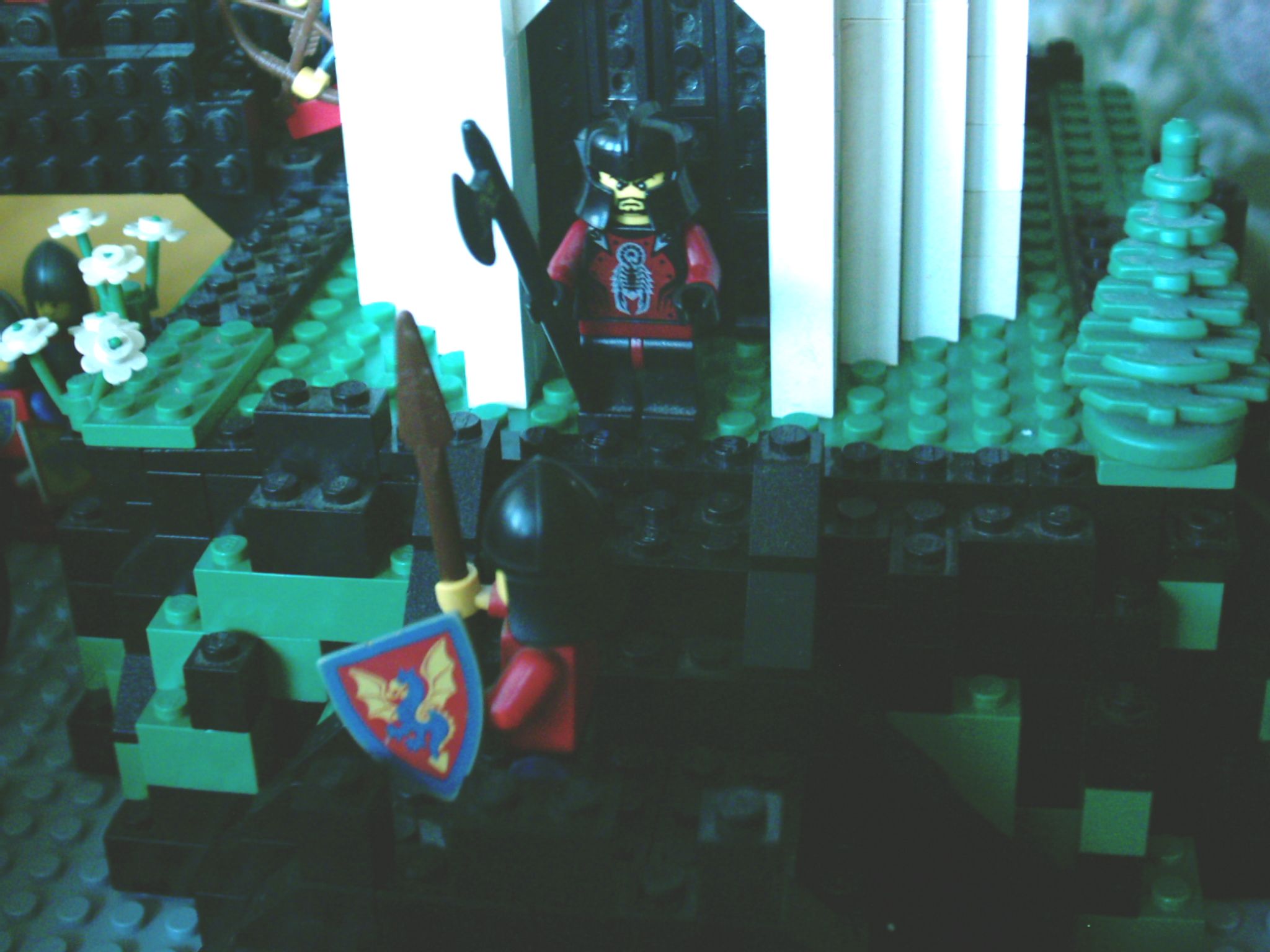 imag0025.jpg