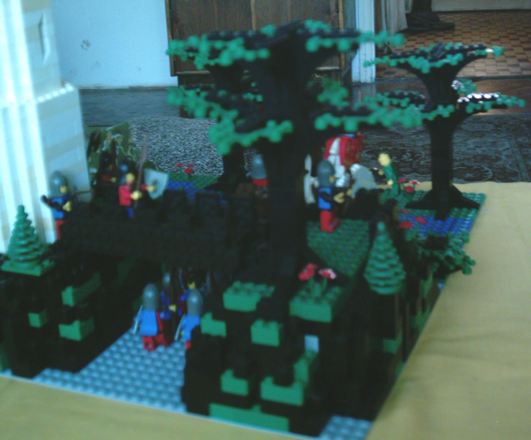 imag0030.jpg