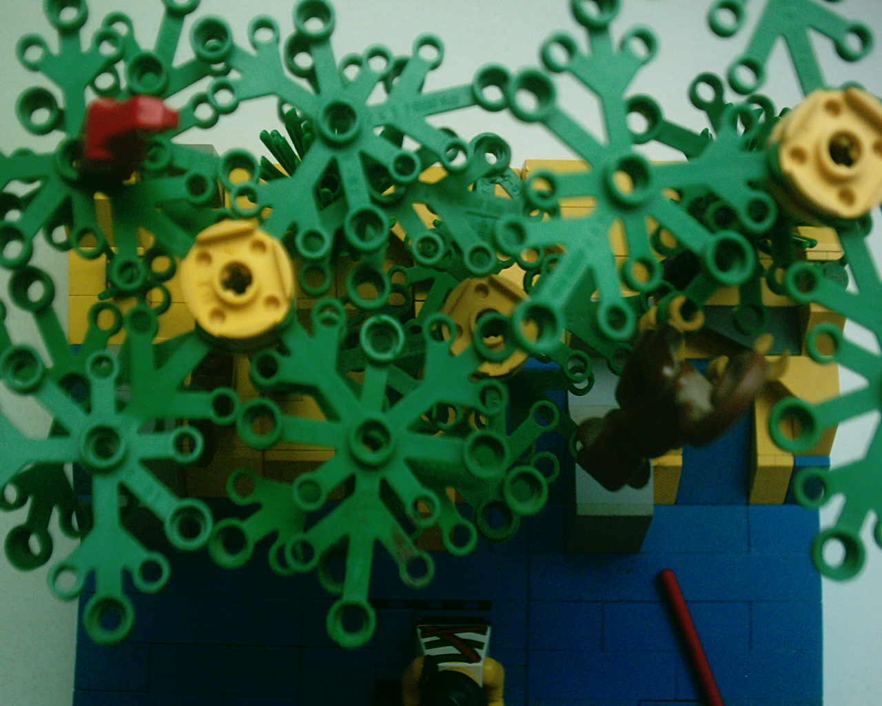 imag0049.jpg