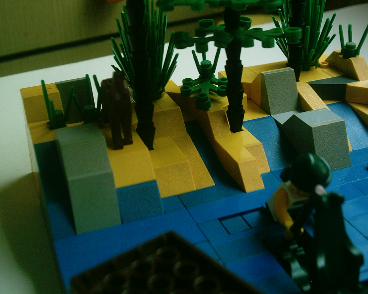 imag0061.jpg