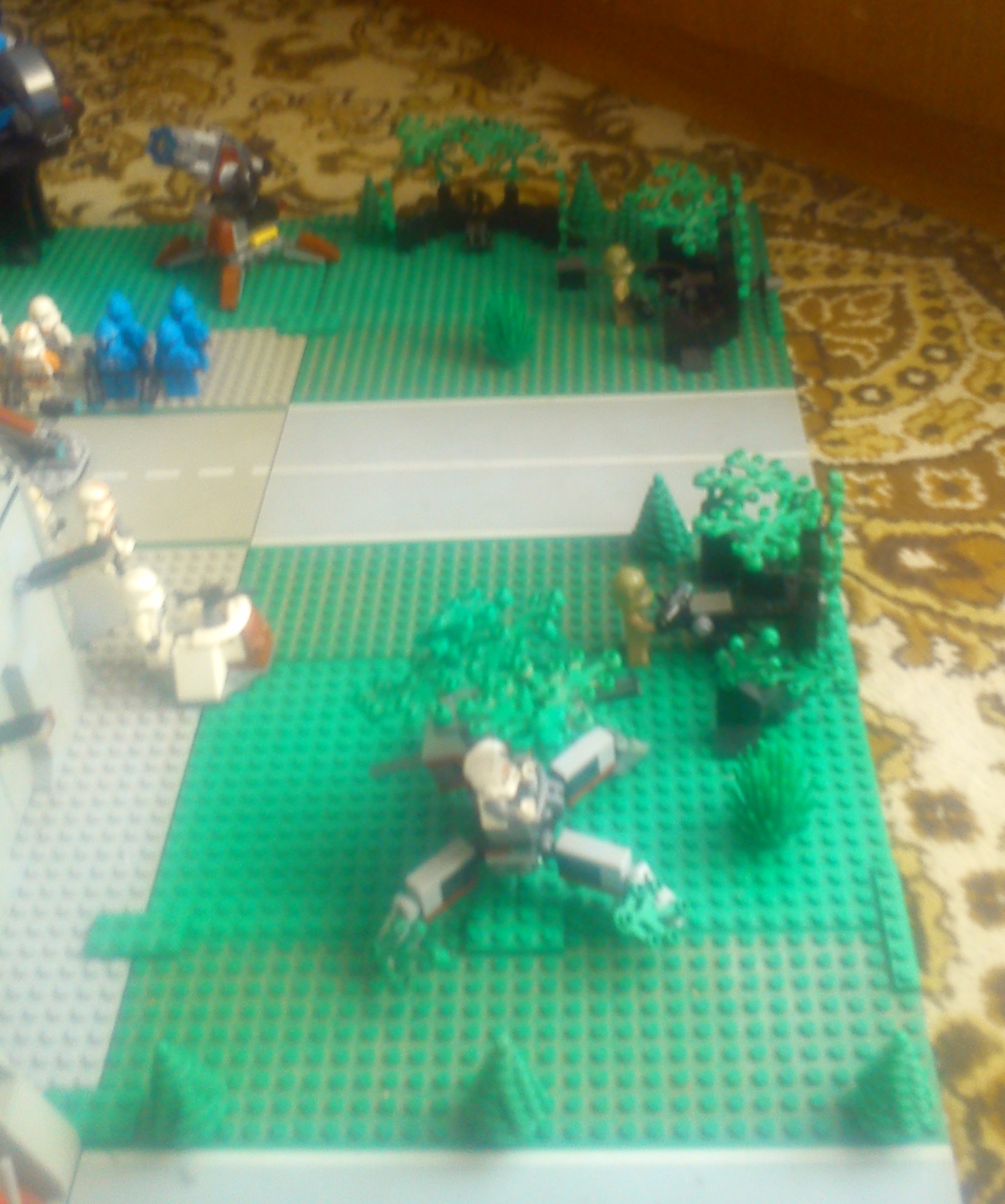 dsc_0062.jpg