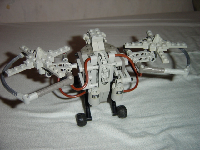 solotrek_2b_back.jpg