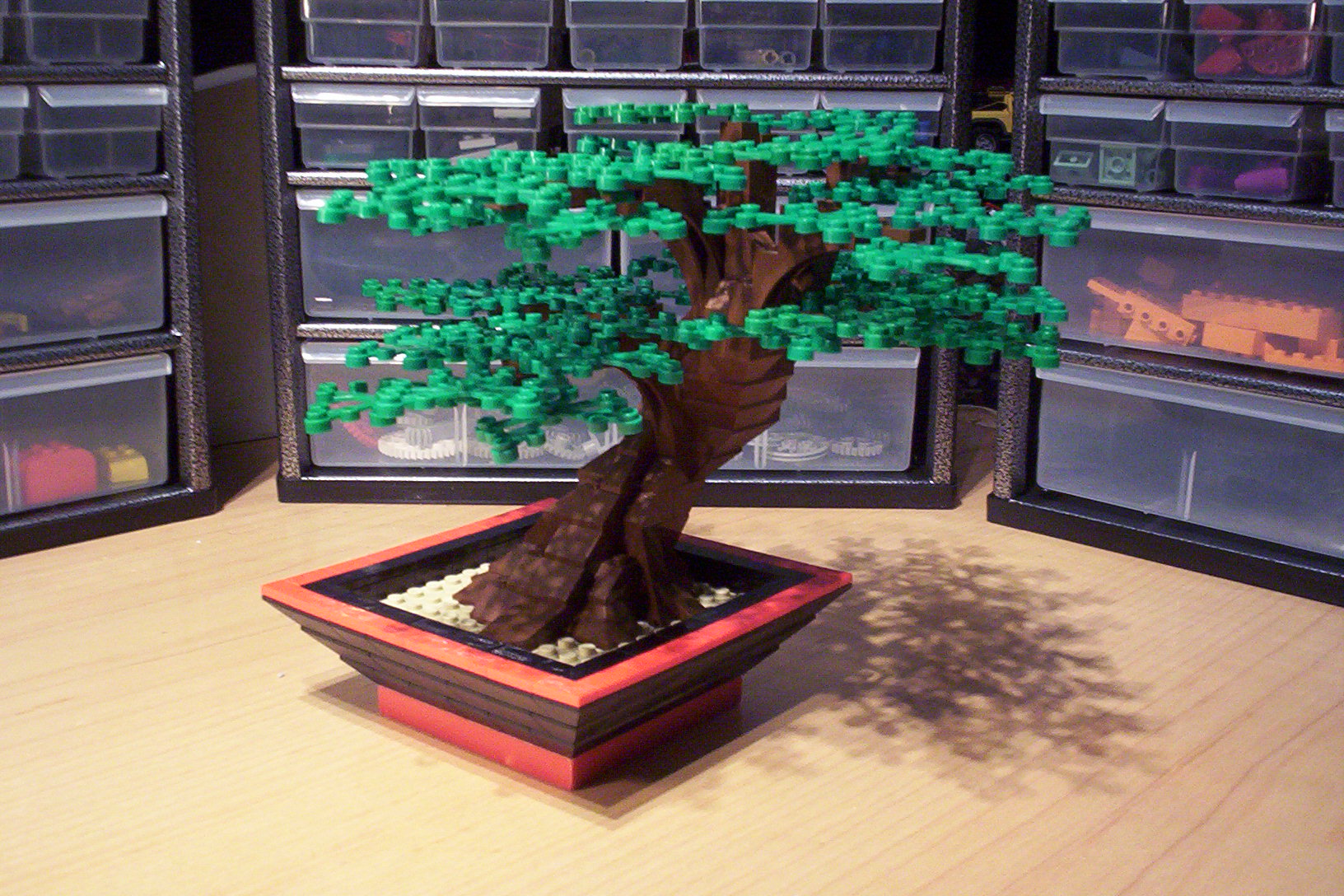 02-bonsai.jpg