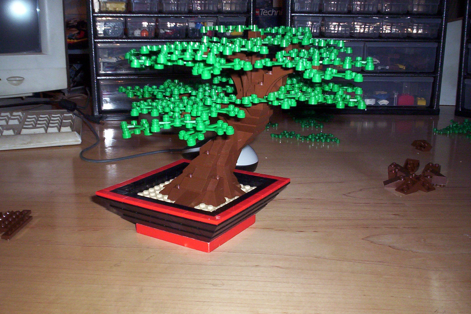 06-bonsai.jpg