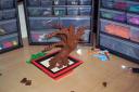 04-bonsai.jpg