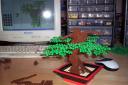 05-bonsai.jpg