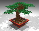 2bonsai.bmp