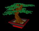 3bonsai.bmp