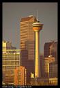 tower2.jpg