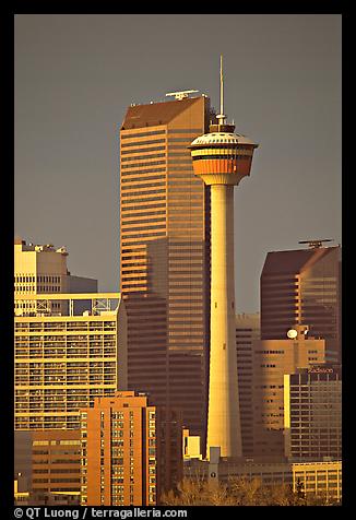 tower2.jpg
