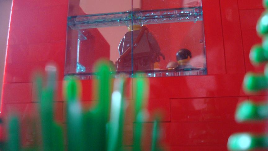 c_view_from_below.jpg