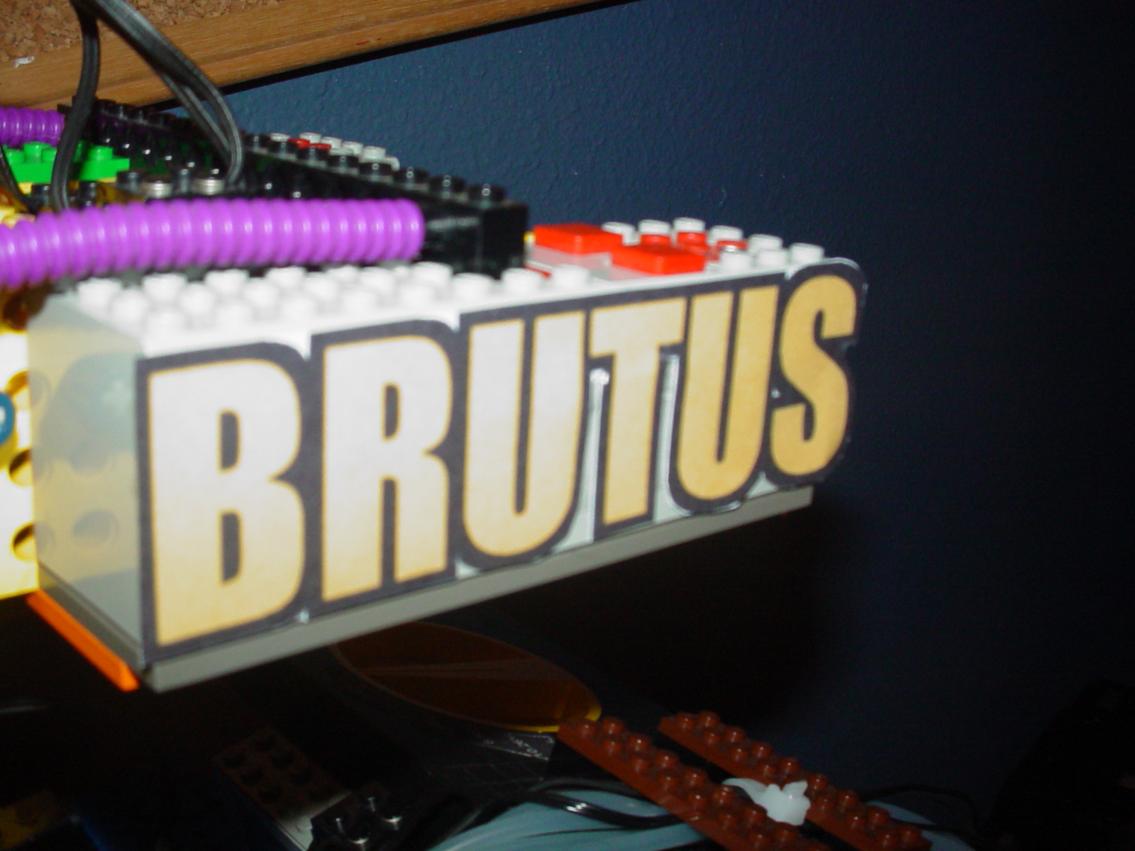 brutus_008.jpg