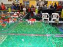 sdc11738.jpg