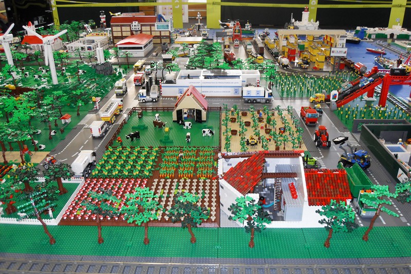 sdc12143.jpg
