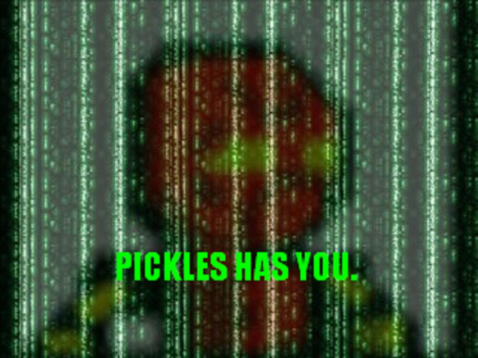pickles_matirx.jpg