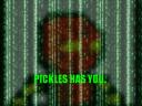 pickles_matirx.jpg