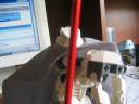 05_junk_009.jpg