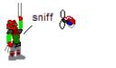 sniff.gif